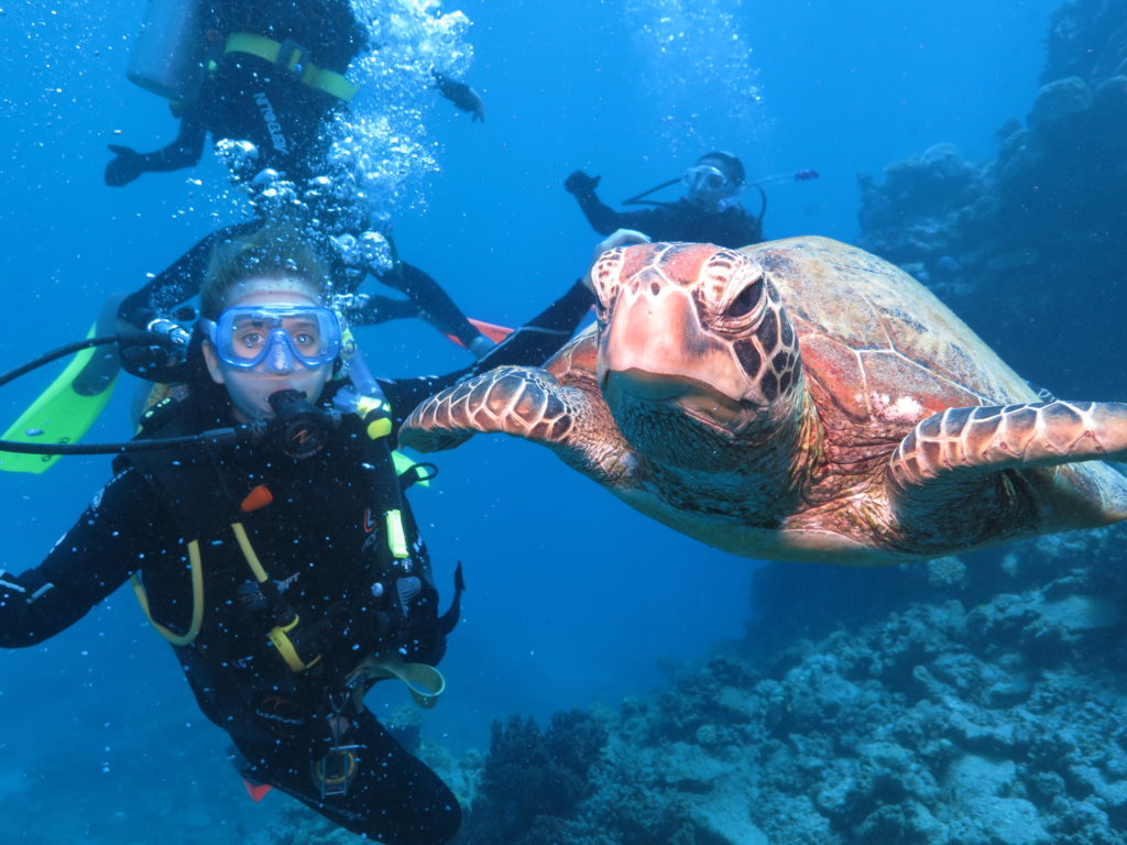 Megan Fischer Scuba diving