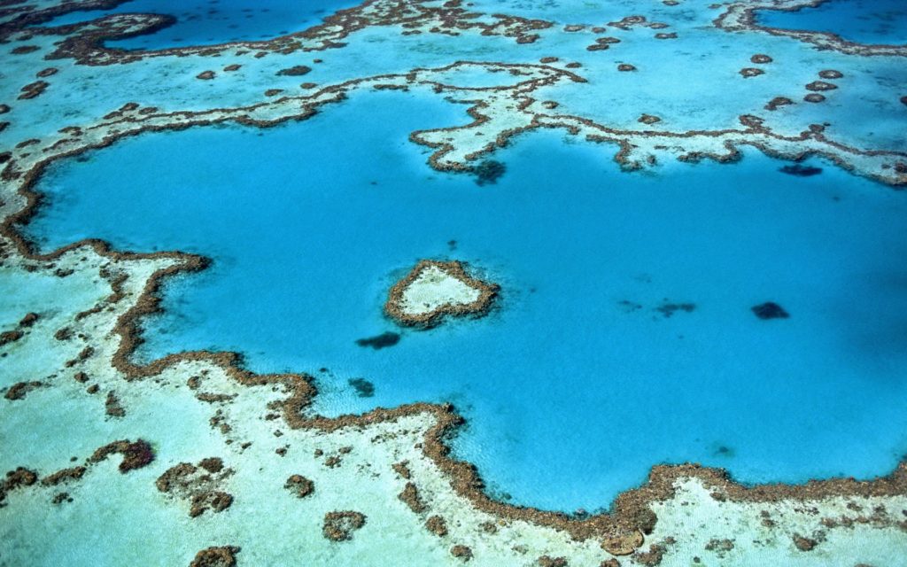 Snorkel, swim, dive and explore - an undersea encounter with this amazing ecosystem is unforgettable