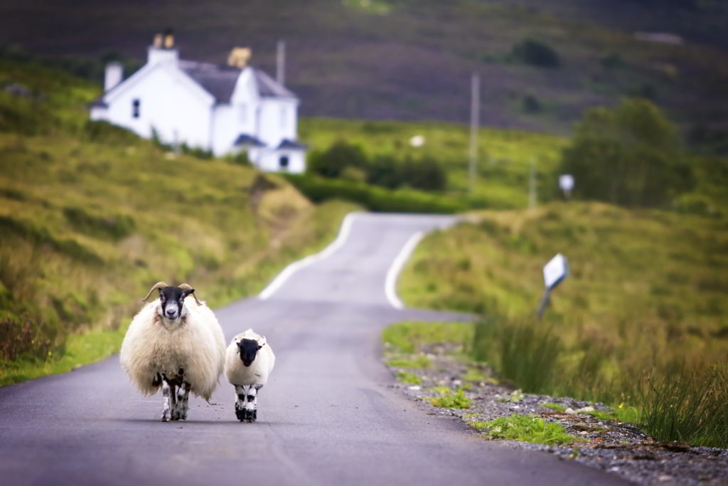 Discover the iconic landscapes of the Scottish Highlands