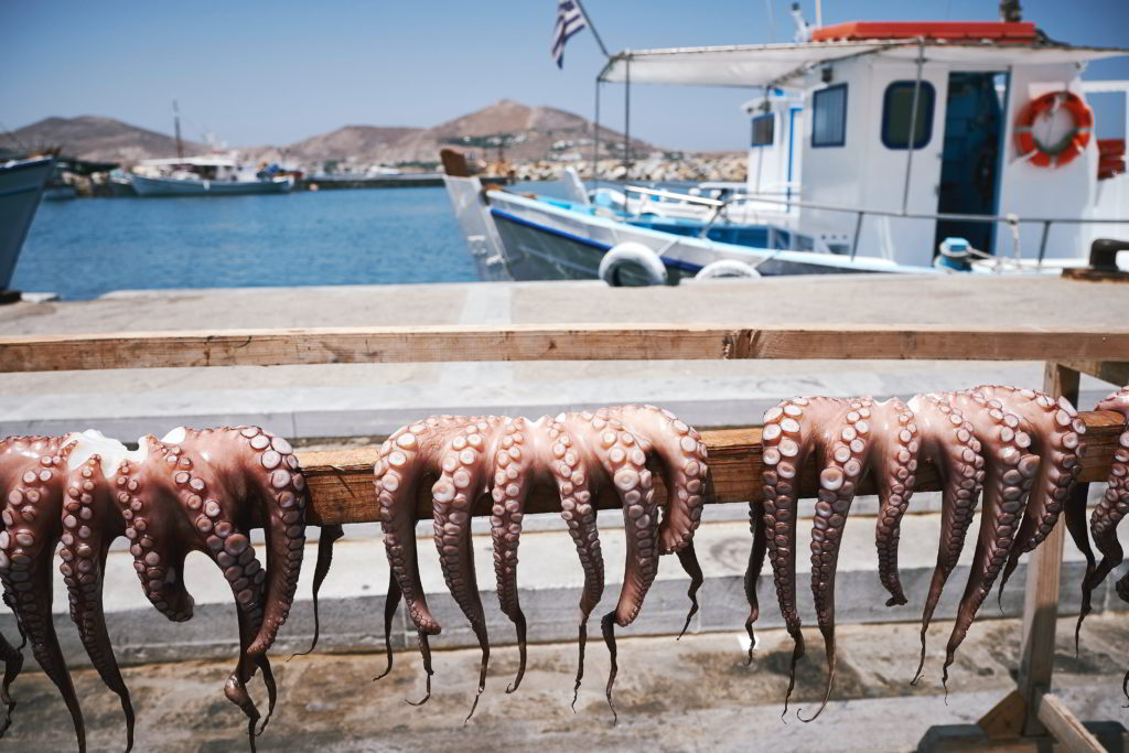 Enjoy your authentic greek seafood experience