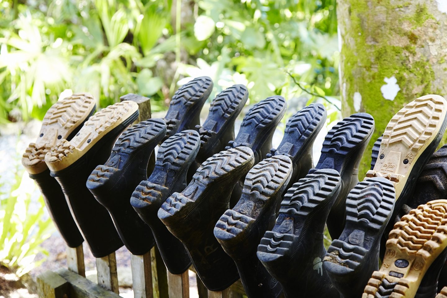 Hiking boots in Lapa Rios Lodge