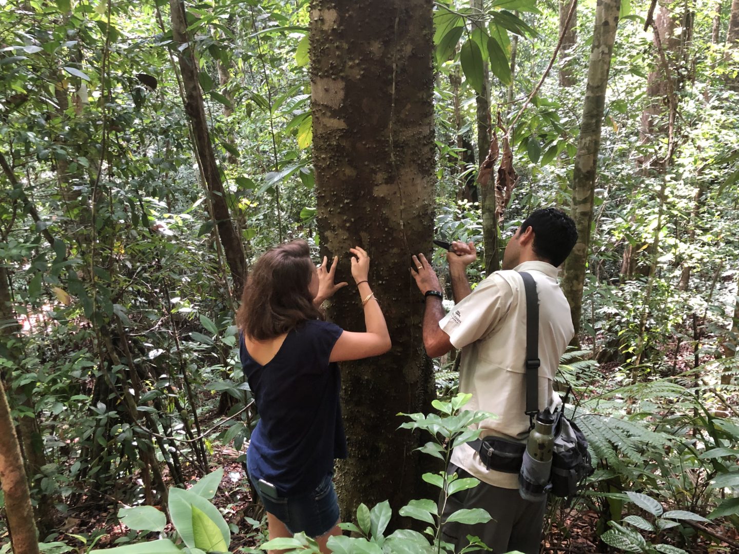 Man and woman hiking in rainforest, Lapa Rios