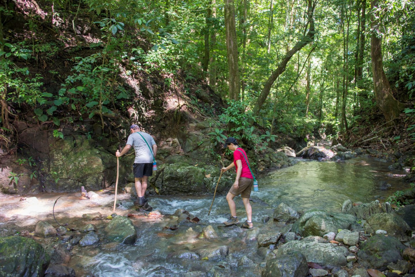 Lapa Rios river hike in rainforest