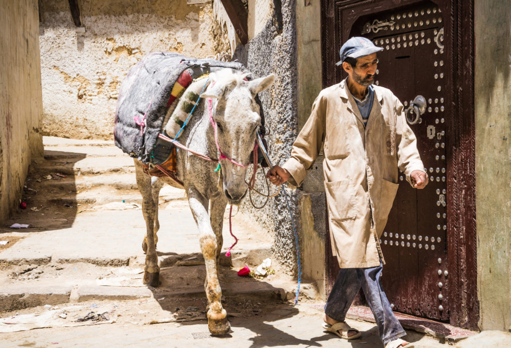 Arabic man with horse in old Medina narrow street of Fez