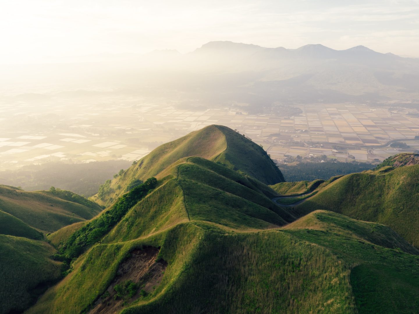 green hilly grassland ecosystem