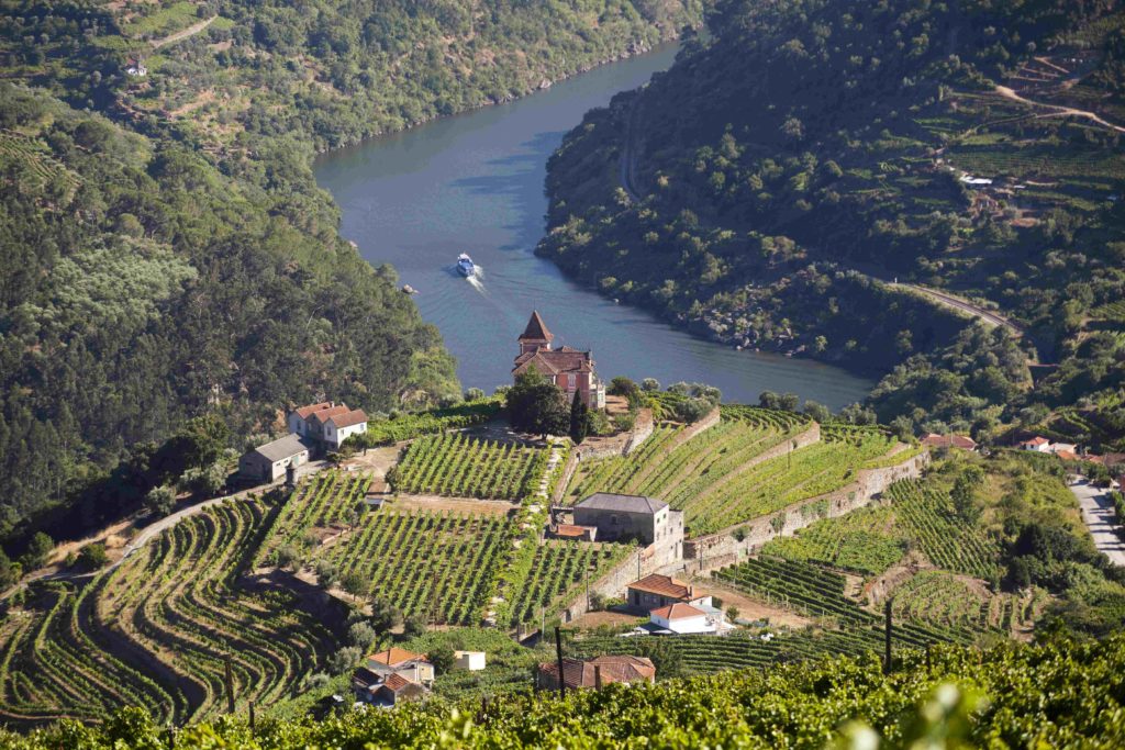 The landscape of Douro Valley in Portugal unfolds majestically, offering breathtaking views of the meandering river and vast vineyards.