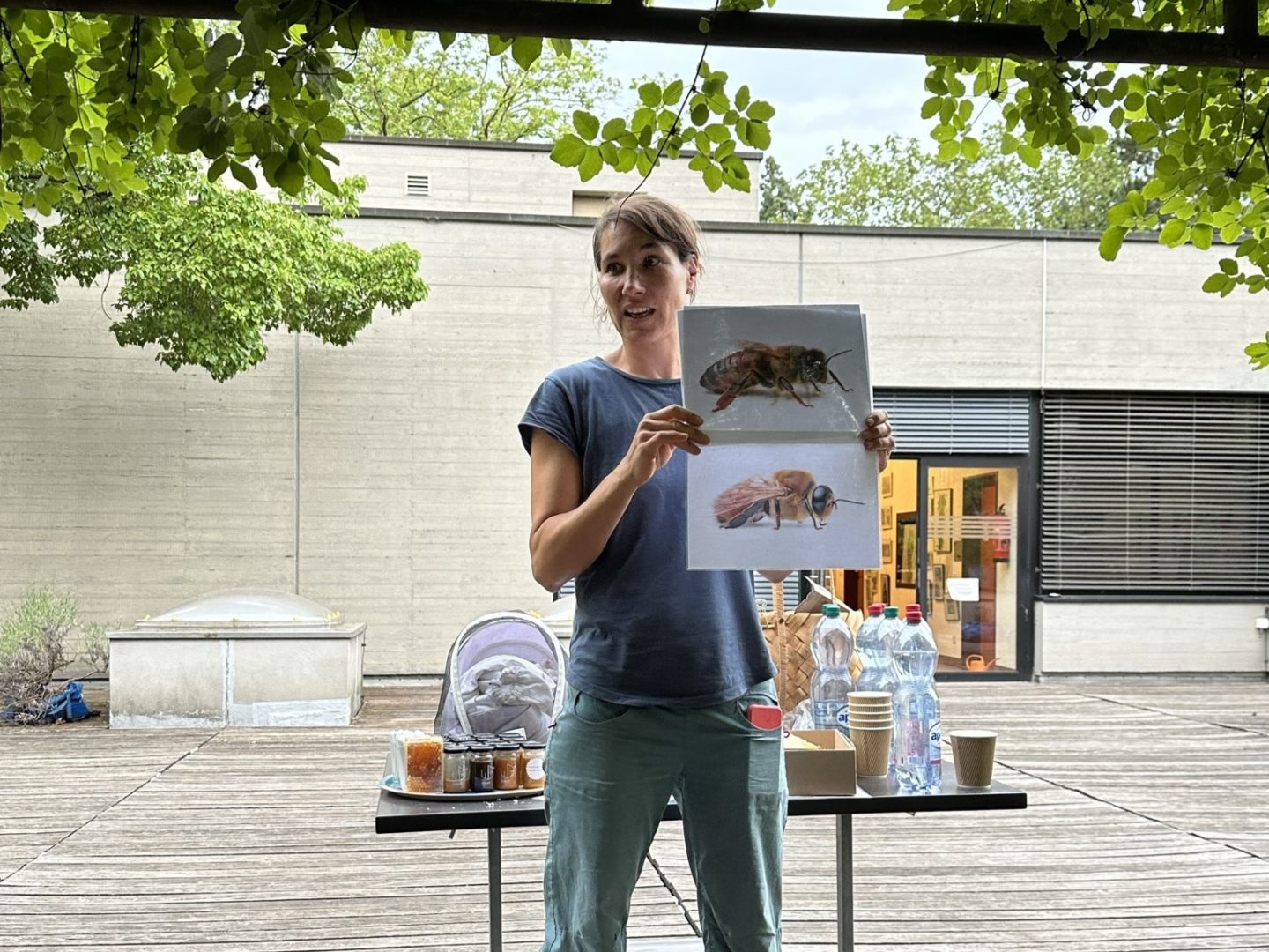 Beekeeper explaining the type of bees in a picture