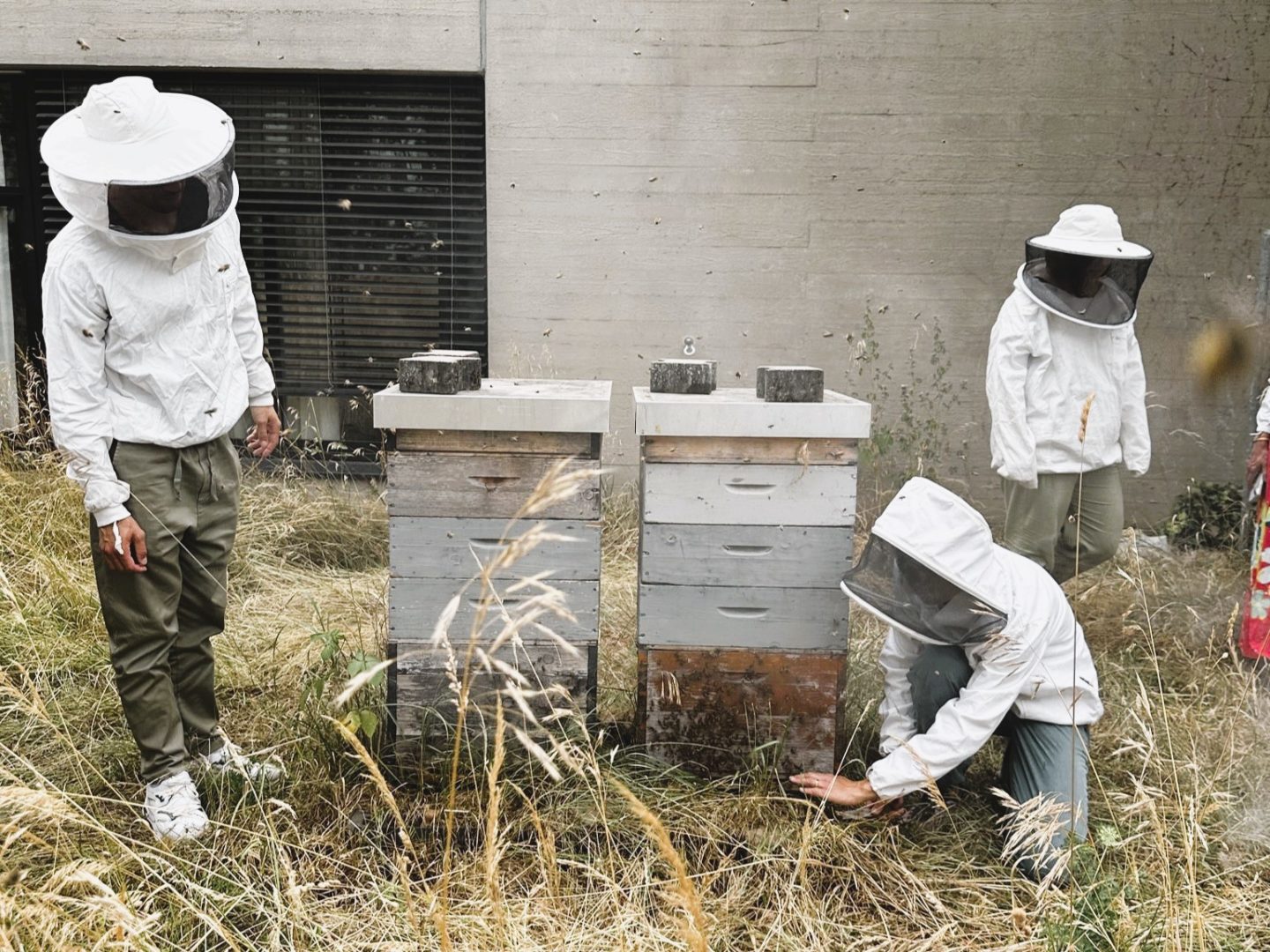 A group of beekeepers and flying bees next to the hives