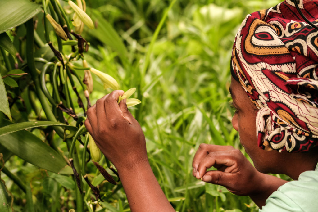 Experience the true essence of premium Madagascar vanilla