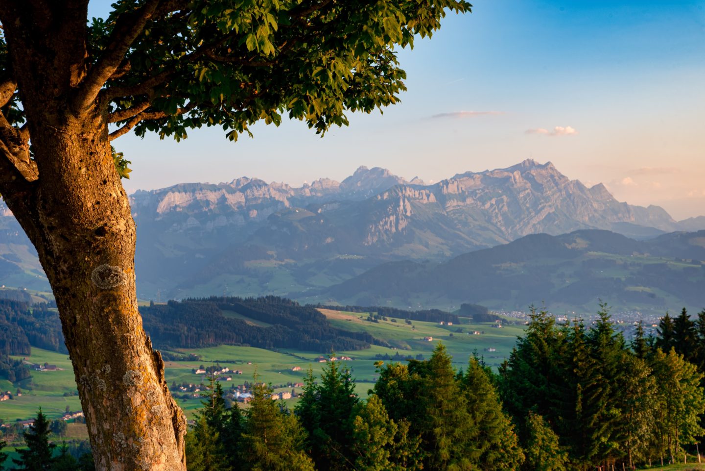 A scenic view of a valley with greenery and mountains rising in the background.