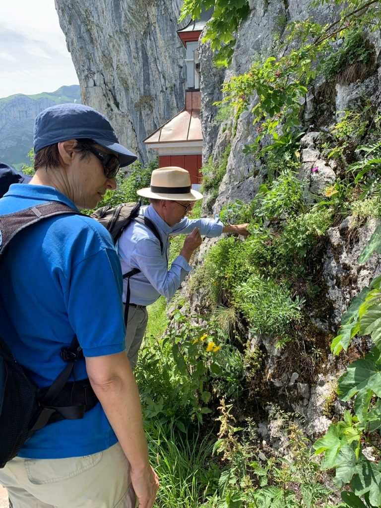 Two plant enthusiasts exploring the flora on a rocky slope.
