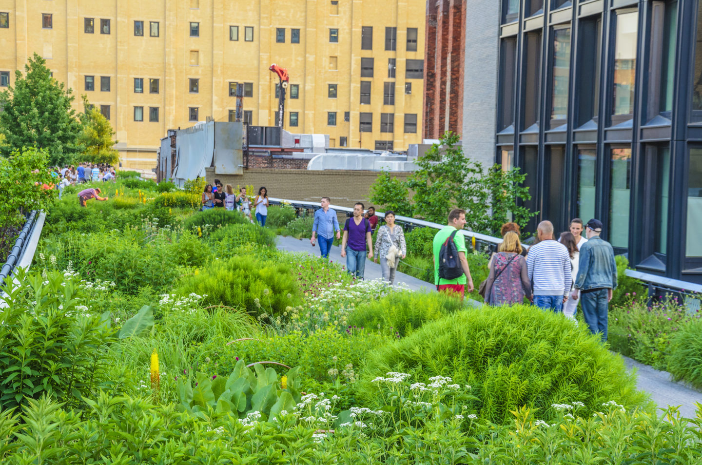 The wonderful urban view from the High Line Park above 10th Avenue in Manhattan