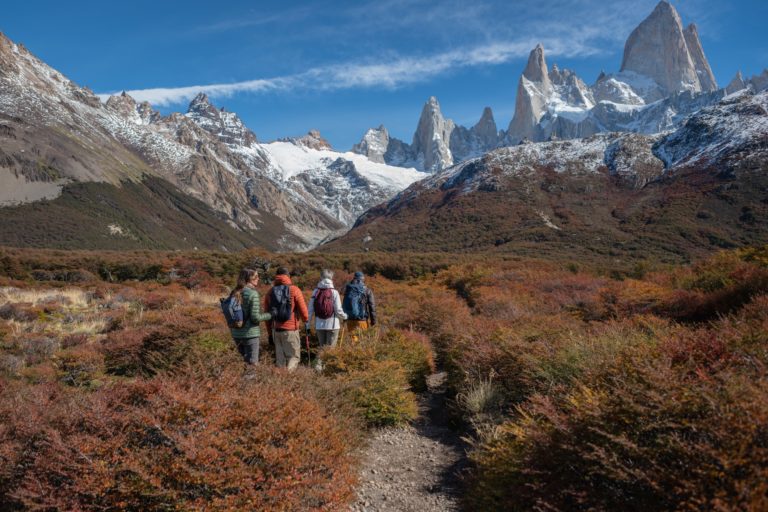 A group of hikers on a trail with colorful shrubs, facing a bright view of a snowy mountain range.