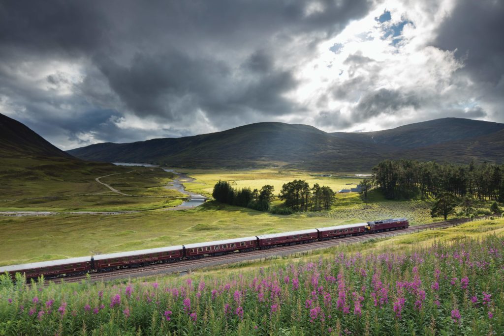A train passing through a verdant landscape with purple flowers, green hills, and mountains.